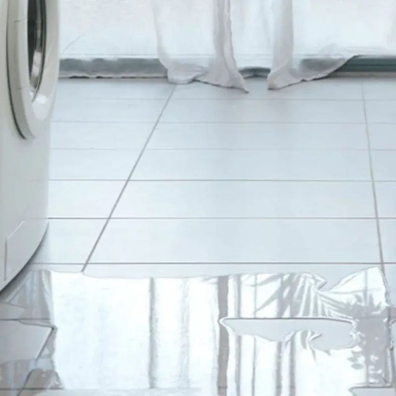 Appliance Leak Cleanup in Pasco, WA