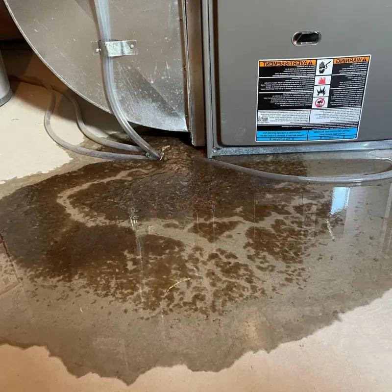Pipe Burst and Leak Restoration in Pasco, WA